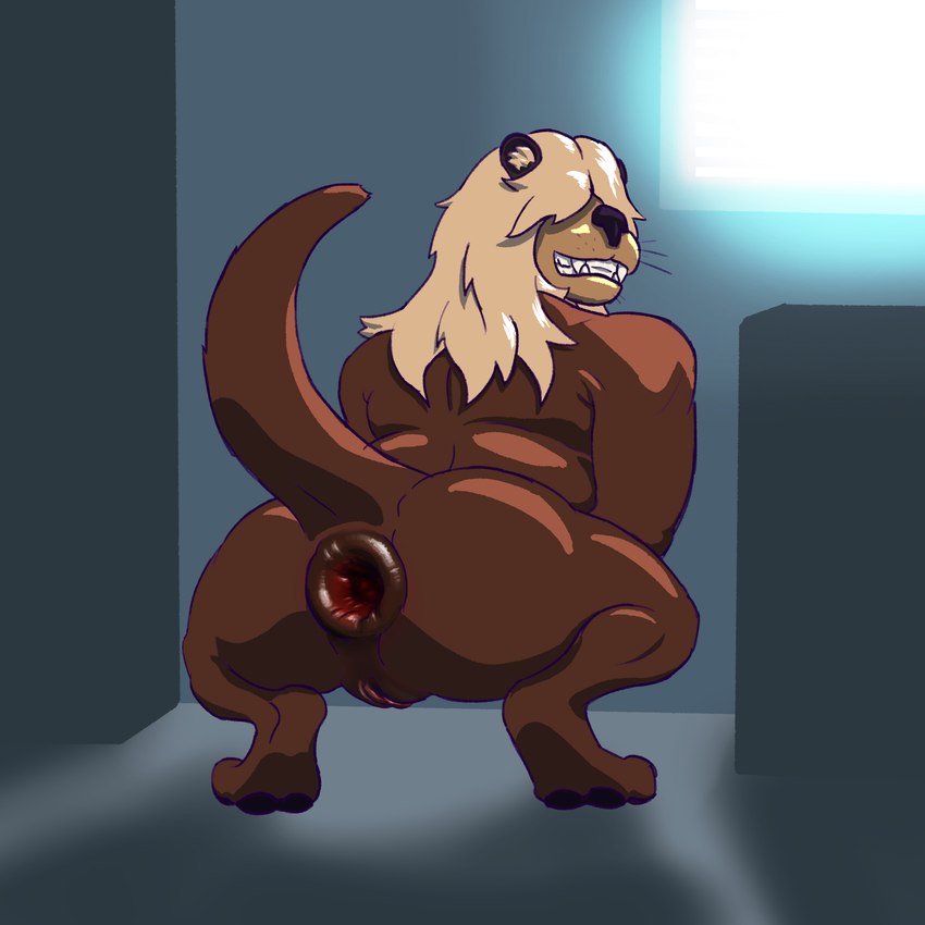 andromorph anthro anus big_butt blinds blonde_hair brown_anus brown_body brown_fur brown_pussy butt crouching feet fur gaping gaping_anus genitals hair hindpaw intersex long_hair looking_at_viewer loose_anus muscular nude nude_anthro paws presenting presenting_hindquarters puffy_anus pussy raised_tail rear_view slightly_chubby slightly_chubby_intersex smile smiling_at_viewer solo tail teeth teeth_showing thick_thighs window elio_bones mammal mustelid otter sea_otter 1:1 2024 absurd_res colored digital_drawing_(artwork) digital_media_(artwork) hi_res shaded trans_(lore) trans_man_(lore)