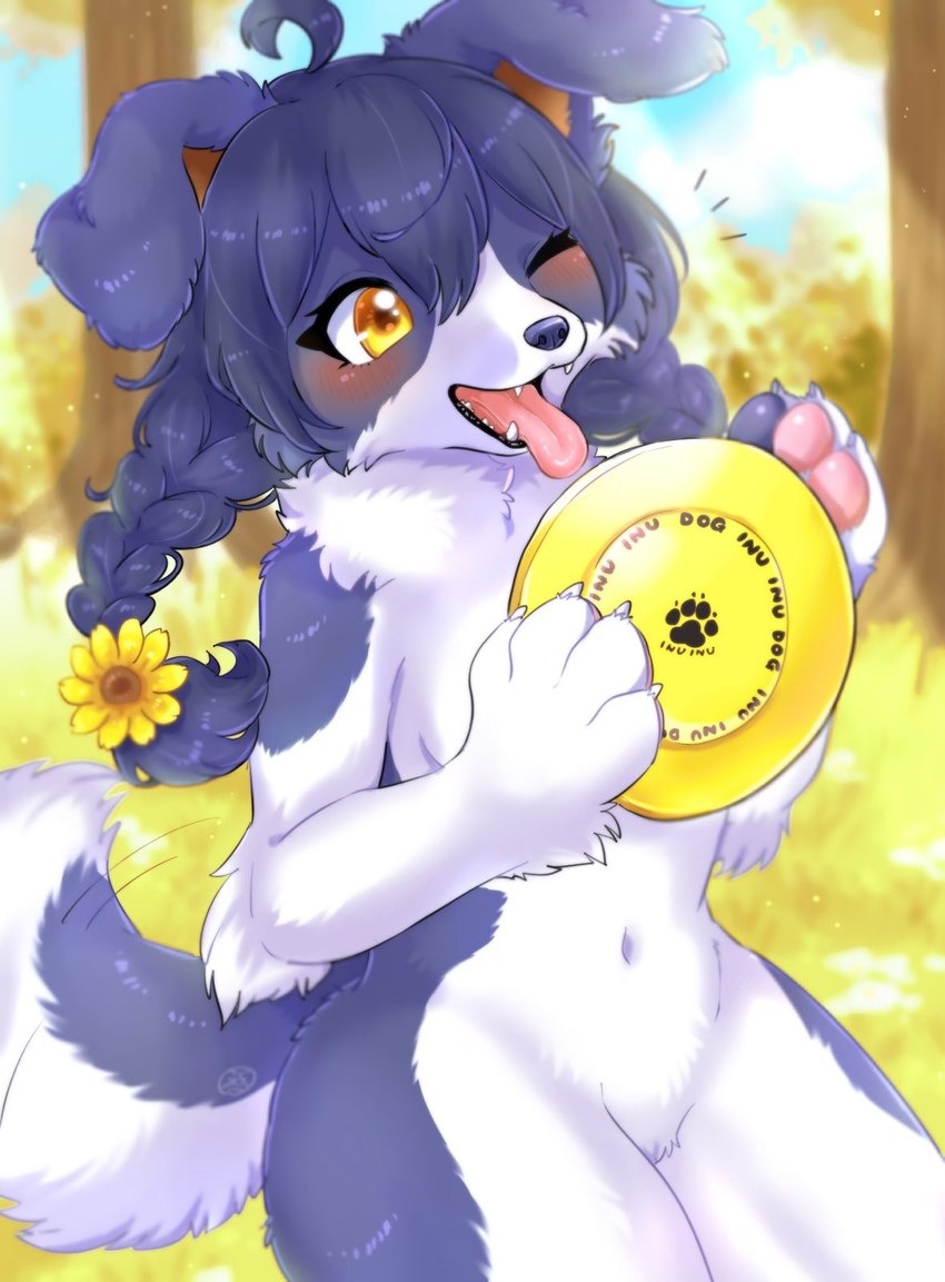 accessory anthro black_hair blush breasts claws female female_anthro fingers floppy_ears flower flower_in_hair frisbee fur grass hair hair_accessory kemono multicolored_body navel nude one_eye_closed open_mouth outside pawpads paws pigtails plant sky smile solo teeth tongue tongue_out tree two_tone_body white_body white_fur wink yellow_eyes koto0v0haru cotorita border_collie canid canine canis collie domestic_dog herding_dog mammal pastoral_dog sheepdog digital_media_(artwork) hi_res