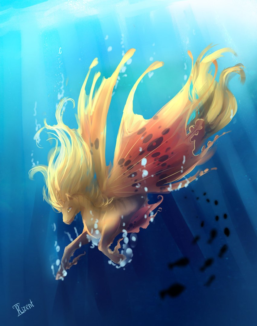 ambiguous_gender blonde_mane bubble day detailed_background feathering feral fin flowing_mane fur hooves horn light light_beam mane outside school_of_fish side_view silhouette solo split_form spots sunbeam sunlight swimming underwater water yellow_eyes rizent mythology ambient_fish ambient_sealife equid equine fish hybrid mammal marine mythological_creature mythological_equine unicorn 2018 full-length_portrait hi_res portrait