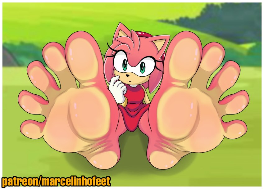 amy rose (sonic the hedgehog (series) and etc) created by marcelinhofeet