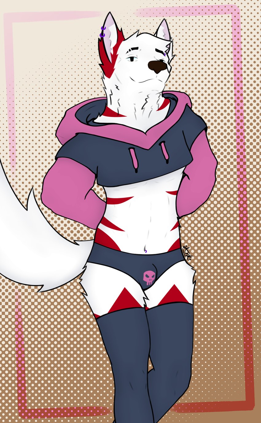 anthro bulge clothing cropped_hoodie ear_piercing eyebrow_piercing facial_piercing footwear fur hair inner_ear_fluff legwear male markings navel navel_piercing neck_tuft piercing raised_tail red_body red_fur socks solo stockings tail thigh_highs thigh_socks tuft underwear white_body white_fur arkdoggo meme_clothing paggi_outfit arkdoggo_(character) berger_blanc_suisse canid canine canis domestic_dog herding_dog mammal pastoral_dog hi_res meme signature