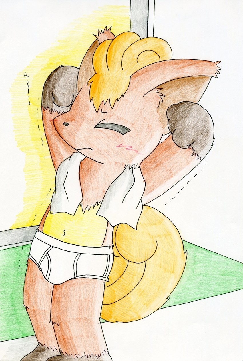 anthro anthrofied bathroom briefs bulge clothing male pokemorph solo tighty_whities underwear white_briefs white_clothing white_underwear young young_anthro young_male gohami nintendo pokemon generation_1_pokemon pokemon_(species) vulpix hi_res