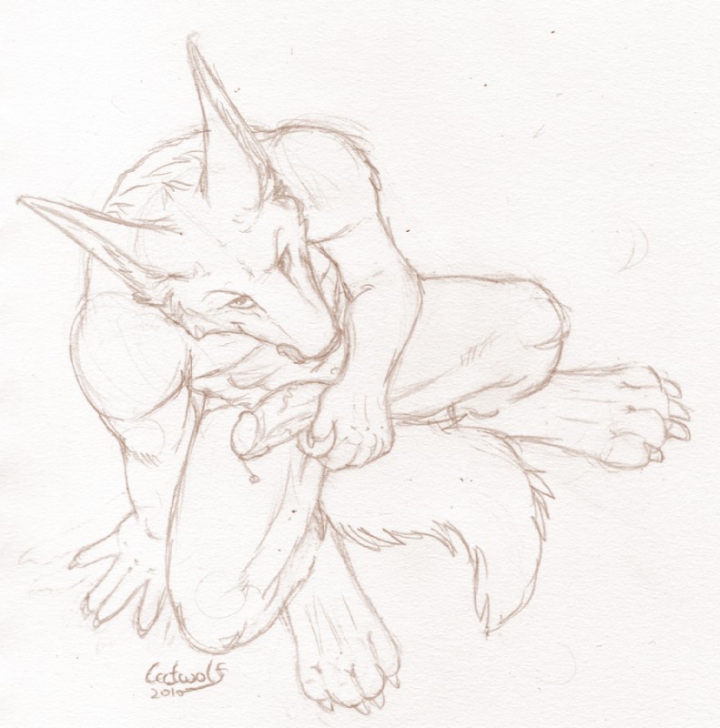 anthro crouching erection genitals male penis simple_background solo tail tongue white_background catwolf endenden canid canine canis jackal mammal monochrome sketch