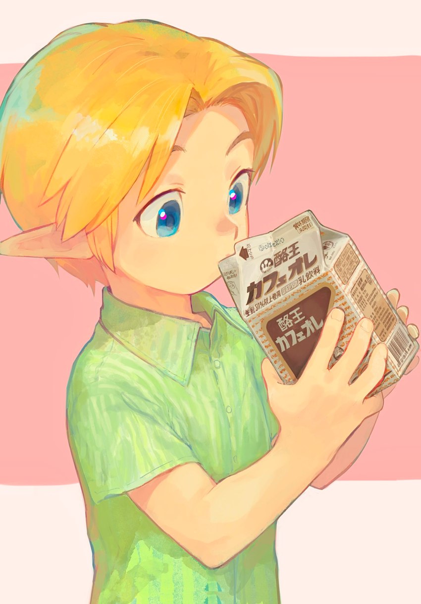 young link (the legend of zelda and etc) created by olxexlo