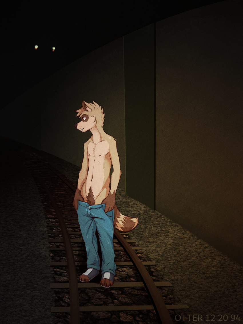 anthro blue_bottomwear blue_clothing blue_jeans blue_pants body_hair bottomwear clothed clothing denim denim_bottomwear denim_clothing footwear happy_trail horror_(theme) jeans male pants railway_track scary solo standing topless train_tracks wall_(structure) ventkazemaru mammal procyonid raccoon hi_res