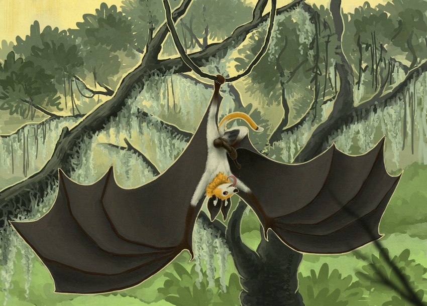 5_fingers 5_toes anatomically_correct anatomically_correct_genitalia anatomically_correct_penis animal_genitalia animal_penis autofootjob balls bat_ears bat_wings blep bodily_fluids brown_balls brown_body brown_fur brown_nose brown_penis brown_wings chiropteran_penis claws day detailed_background dipstick_tail erection fangs feet feral fingers foot_fetish foot_play fur furry_tail genital_fluids genitals hanging_by_feet hanging_from_vine happy leaf long_tail long_tongue looking_at_viewer male male_feral markings masturbation membrane_(anatomy) membranous_wings monotone_balls monotone_feet monotone_genitals monotone_penis monotone_wings multicolored_body multicolored_fur multicolored_tail neck_tuft open_mouth orange_body orange_fur outline outside penile penile_masturbation penis pink_tongue plant plantigrade precum precum_string prehensile_autofootjob prehensile_feet realistic_wings red_eyes ruff shrub solo spanish_moss tail tail_markings tan_outline teeth three-quarter_view toe_claws toes tongue tongue_out tragus tree tuft upside_down wavy_tail whisker_spots white_body white_claws white_fur white_sclera wings cloudweaver_(artist) jack_desmodus bat flying_fox grey-headed_flying_fox hybrid mammal megabat microbat painted_bat tube-lipped_nectar_bat vesper_bat yangochiropteran 2025 absurd_res adversarial_noise colored_sketch digital_media_(artwork) digital_painting_(artwork) hi_res painting_(artwork) shaded sketch male_(lore)
