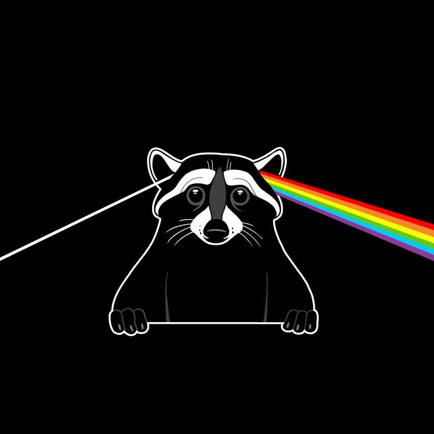 ambiguous_gender black_background black_body black_fur fur looking_at_viewer parody rainbow simple_background solo whiskers white_body white_fur nikraccoom pink_floyd the_dark_side_of_the_moon_(album) mammal procyonid raccoon 1:1 2020 absurd_res album_cover cover hi_res