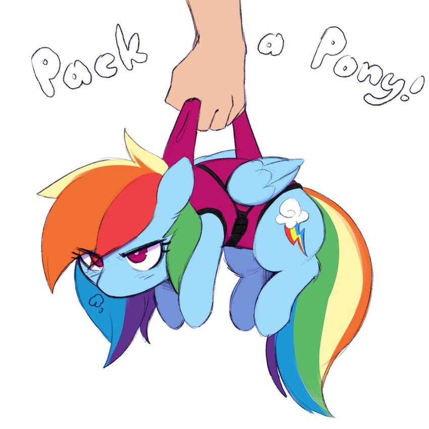 rainbow dash (friendship is magic and etc) created by pudgeruffian