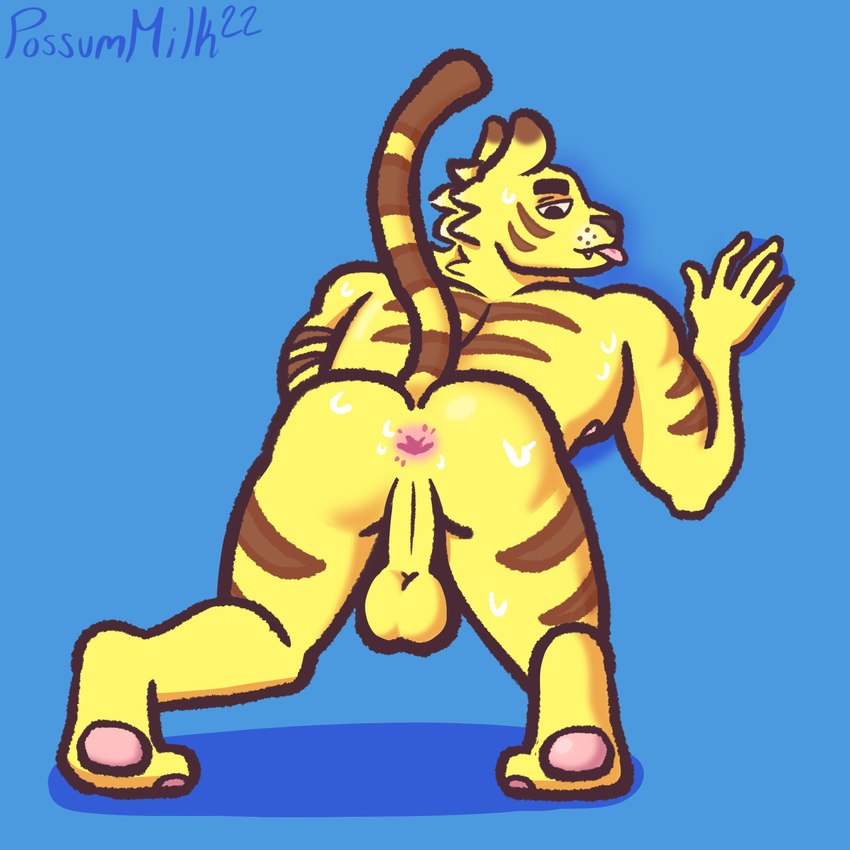 anthro anus backsack balls bite biting_lip bodily_fluids butt clothed clothing clothing_pull fur genitals looking_back male musk nipples partially_clothed pawpads penis penis_poking_out perineum pink_anus plantigrade raised_heel raised_tail saggy_balls shadow simple_background solo standing_on_toes striped_body striped_fur stripes sweat sweaty_butt tail tiptoes tongue tongue_out mysteriousmilk animal_crossing nintendo tybalt_(animal_crossing) felid mammal pantherine tiger 1:1 hi_res