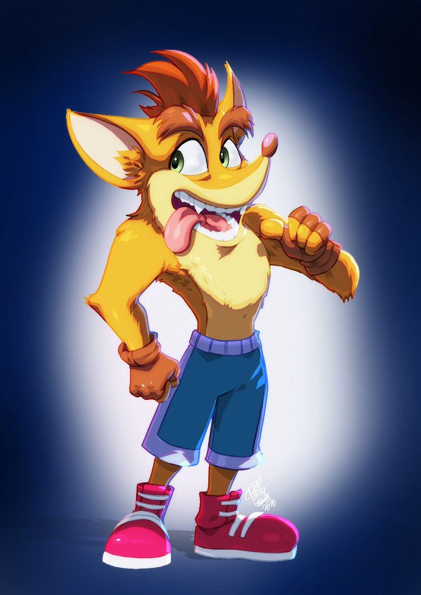 anthro bottomwear clothing fingerless_gloves footwear fur gloves hair handwear male open_mouth shoes shorts simple_background solo tovio_rogers activision crash_bandicoot_(series) crash_bandicoot bandicoot mammal marsupial 2020 hi_res