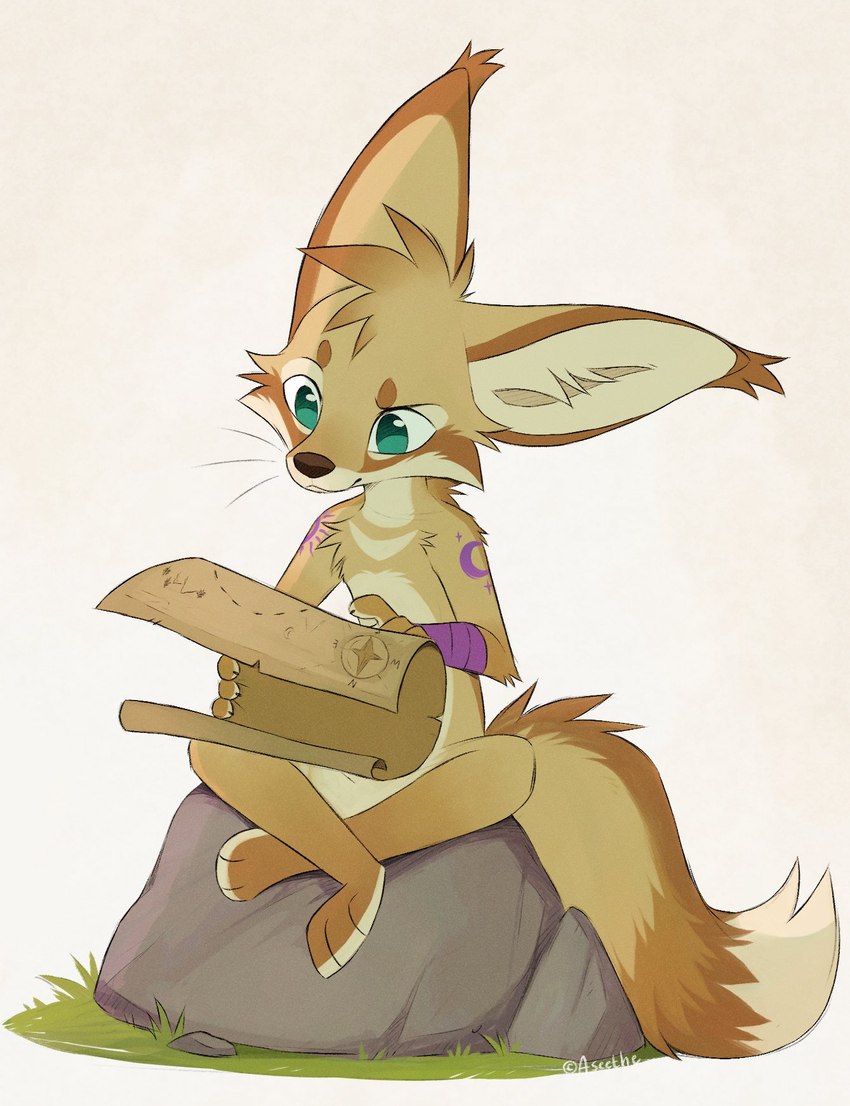 anthro black_nose brown_body brown_fur cheek_tuft crossed_legs facial_tuft fur grass head_tuft holding_map markings nude plant purple_markings rock sitting solo tuft whiskers white_body white_fur yellow_body yellow_fur aseethe canid canine fennec_fox fox mammal true_fox 2024 digital_media_(artwork) hi_res signature