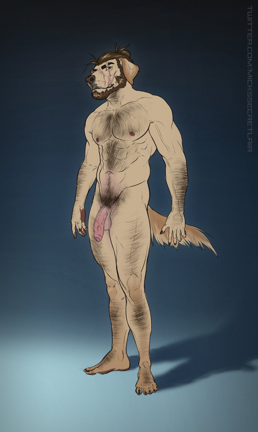 abs anthro balls beads beard black_body black_eyes black_fur black_tuft brown_nose eyebrows facial_hair facial_scar facial_tuft flaccid foreskin fur genitals hairy humanoid_genitalia humanoid_penis male muscular muscular_anthro muscular_male nails navel nipples nude partially_retracted_foreskin pawpads paws penis scar simple_background solo standing tuft vein veiny_arms veiny_penis yellow_body mickey_the_retriever mick canid canine canis domestic_dog mammal absurd_res hi_res