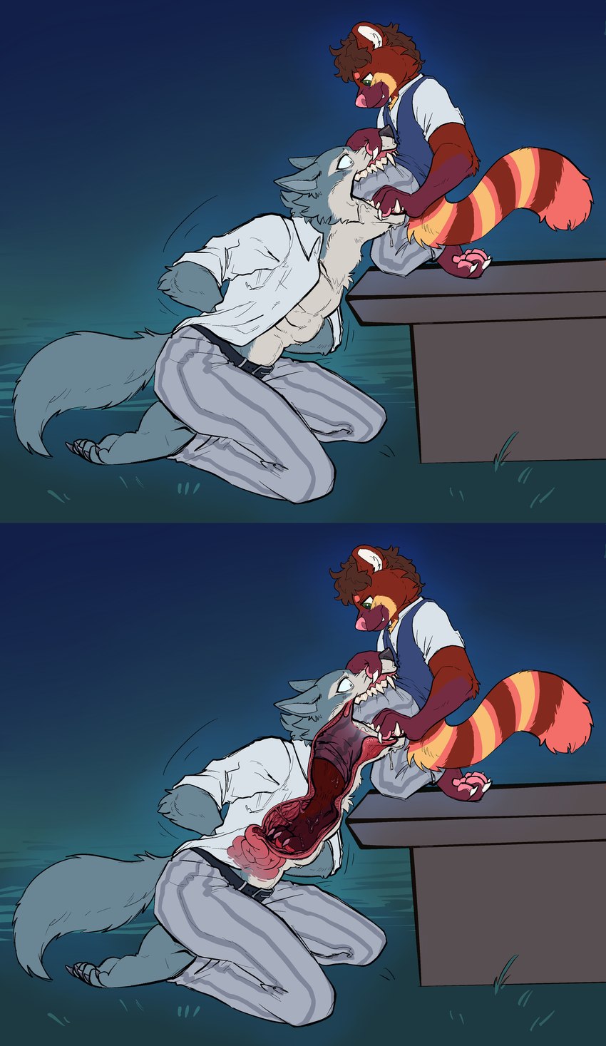 4_toes 5_toes abdominal_bulge abs anthro anthro_on_anthro anthro_pred anthro_prey arm_tuft athletic athletic_anthro athletic_male barefoot belt biped black_belt black_claws black_eyebrows black_eyes black_nose blue_clothing blue_shirt blue_topwear bodily_fluids body_in_mouth bottomwear bound brown_body brown_fur brown_hair brown_markings cheek_tuft claws clothed clothing countershade_torso countershading cutaway digitigrade dripping drooling duo ear_tuft esophageal_sphincter eyebrows facial_markings facial_tuft fangs feet feet_first finger_claws fluffy fluffy_tail foot_fetish foot_in_mouth foot_insertion foot_play forced fur fur_markings fur_tuft furniture grass green_eyes grey_body grey_bottomwear grey_clothing grey_fur grey_markings grey_pants guts hair hand_in_mouth hand_on_face head_markings head_tuft hindpaw humanoid_feet in_mouth inner_ear_fluff internal interspecies intestines jaw_grab kneeling looking_at_another looking_down male male/male male_pred male_prey markings motion_lines mouth_grab multicolored_body multicolored_fur neck_bulge night open_mouth oral oral_vore organs outside pants partially_clothed partially_inside pattern_bottomwear pattern_clothing pattern_pants pawpads paws pink_markings pink_nose pink_pawpads plant plantigrade red_body red_fur restrained ring_(marking) ringed_tail saliva saliva_drip same_size_vore scared school_uniform sharp_teeth shirt short_hair side_view simple_background sky smile smug snout_grab soft_vore stomach striped_bottomwear striped_clothing striped_markings striped_pants striped_tail stripes surprise table tail tail_markings tan_body tan_countershading tan_fur teeth toe_claws toes topwear tuft two_tone_body two_tone_fur uniform unwilling_pred uvula vore wet white_claws white_clothing white_shirt white_topwear white_tuft wide_eyed willing_prey yellow_markings voraciousollie beastars connor_(dasfox) legoshi_(beastars) ailurid canid canine canis mammal red_panda wolf 2021 absurd_res digital_drawing_(artwork) digital_media_(artwork) hi_res multiple_scenes shaded