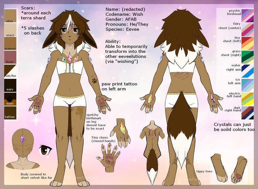 anthro birthmark bottomwear bra breasts brown_body brown_eyes brown_fur brown_hair claws clothed clothing color_swatch disembodied_foot disembodied_hand feet female floppy_ears forehead_gem fur gem hair markings midriff navel pants pawpads paws scar small_breasts solo tail tattoo text thin_calves thin_legs thin_thighs underwear underwear_only cajunfoxnight nintendo pokemon wish_(cajunfoxnight) eevee generation_1_pokemon pokemon_(species) 2024 english_text model_sheet signature trans_(lore) trans_man_(lore)