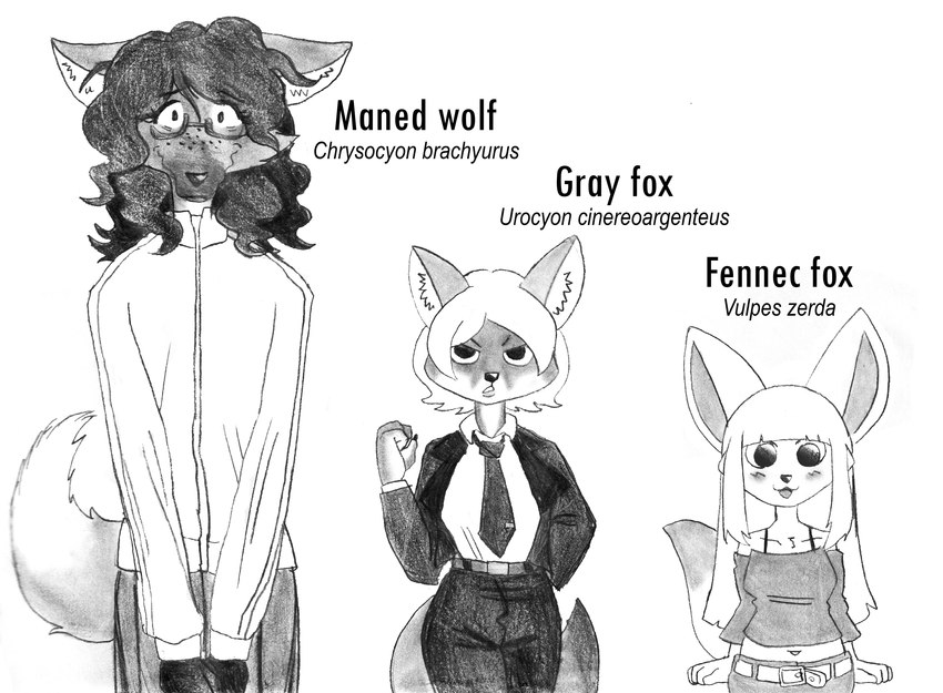 anthro belt bottomwear clothing collarbone eyewear female freckled_face freckles fur glasses hair long_hair markings necktie pants short_hair sportswear efradraws canid canine fennec_fox fox grey_fox mammal maned_wolf true_fox urocyon 2024 absurd_res graphite_(artwork) hi_res model_sheet monochrome painting_(artwork) sketch traditional_media_(artwork)