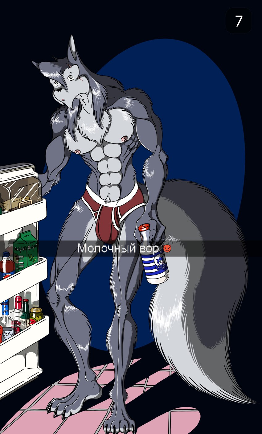 anthro appliance briefs bulge clothing detailed_bulge fridge kitchen kitchen_appliance male phone_screen solo underwear alex_kl5 ken_fenrir canid canine canis mammal wolf hi_res