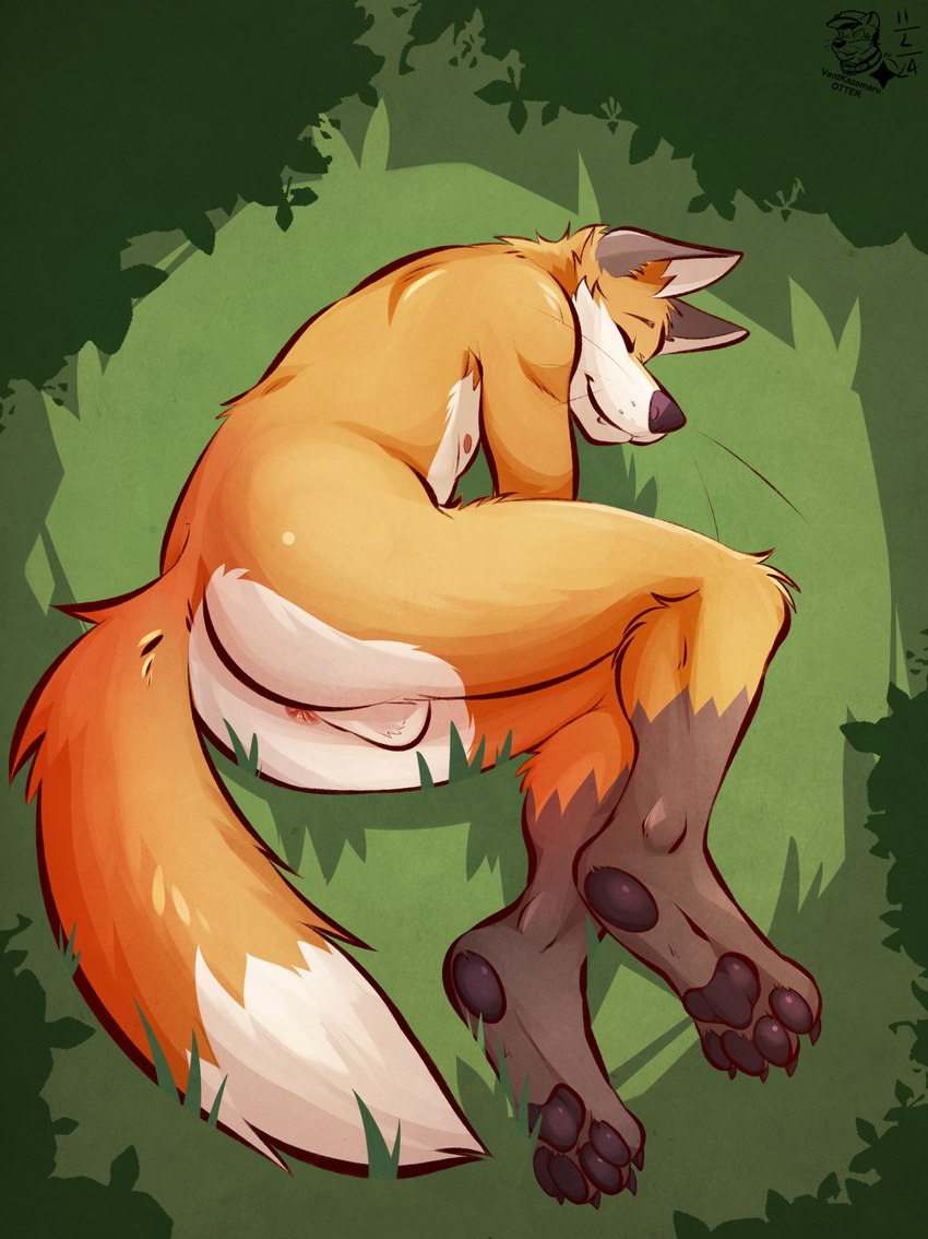 anthro anus backsack balls butt dipstick_tail eyes_closed fur genitals grass leg_markings lying lying_on_grass male markings nude on_grass on_side orange_body orange_fur outside pawpads plant sleeping smile socks_(marking) solo tail tail_markings white_body white_fur ventkazemaru canid canine fox mammal hi_res