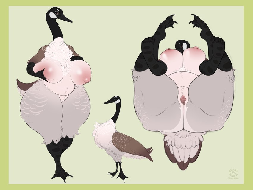 anthro beak big_breasts black_beak black_body black_feathers border breasts brown_body brown_feathers curvy_figure feather_tuft feathers female feral genitals grey_body grey_feathers legs_up looking_at_viewer mature_female multicolored_body multicolored_feathers nipples pink_nipples pink_pussy pussy simple_background solo thick_thighs tuft voluptuous yellow_border eliotak anatid anseriform anserinae avian bird canada_goose goose 2021 4:3 hi_res