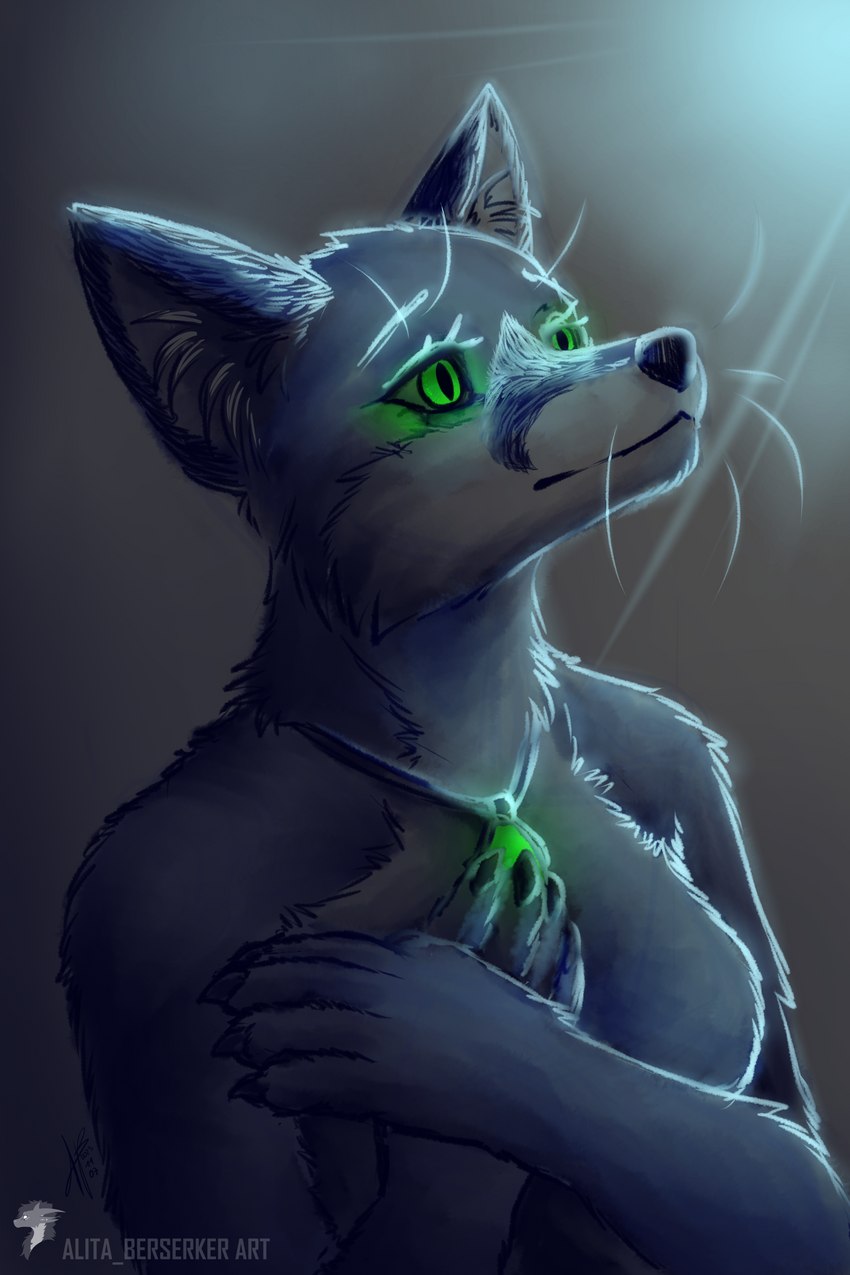 anthro claws emerald_(gem) female gem glowing glowing_eyes glowing_object green_eyes jewelry light magic_user medieval melancholic moonlight night nude pendant portrait_(object) solo witch alita_berserker silva_vernalis canid canine fox mammal 2:3 absurd_res hi_res sketch