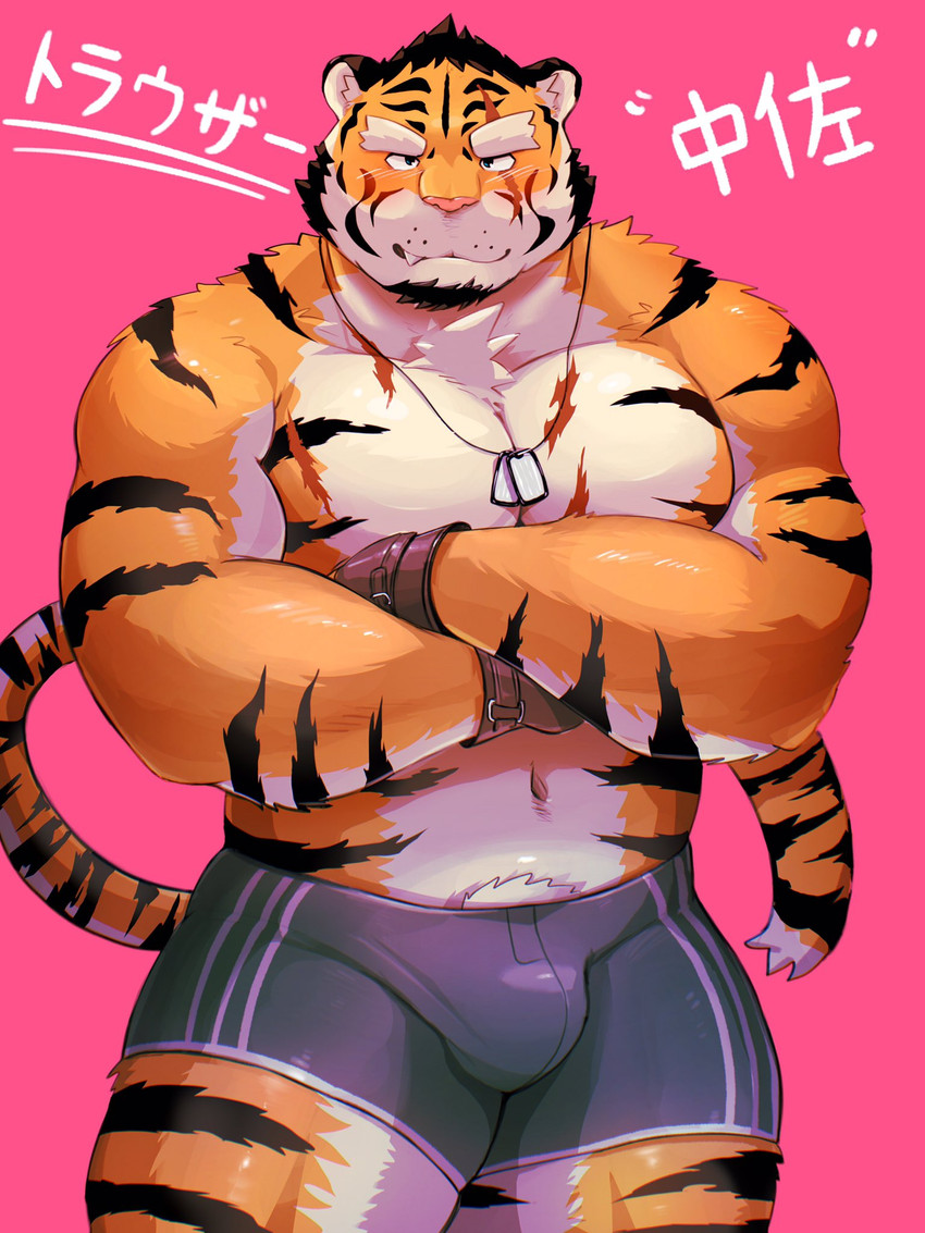 anthro biped black_hair blue_eyes boxer_briefs bulge chest_scar clothed clothing dog_tags eye_scar facial_scar fur hair male markings military multicolored_body multicolored_fur navel orange_body orange_fur orange_tail pink_background pink_nose scar simple_background soldier solo striped_body striped_fur striped_markings striped_tail stripes tail tail_markings two_tone_body two_tone_fur underwear underwear_only warrior white_body white_fur white_tail morningbread16 benki_wars lieutenant_trouser felid mammal pantherine tiger 3:4 hi_res