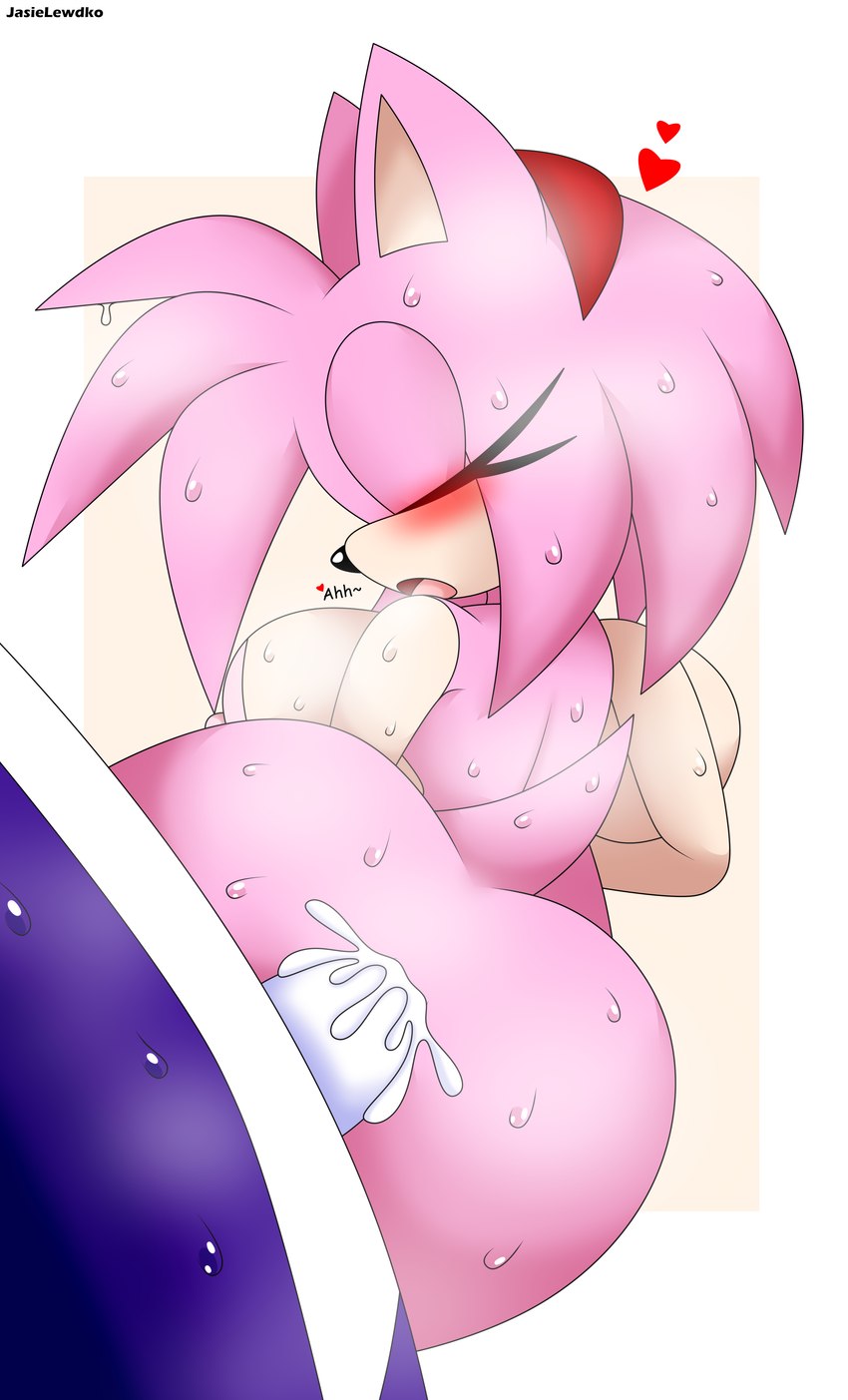 amy rose and jasie the fox (sonic the hedgehog (series) and etc) created by jasienorko
