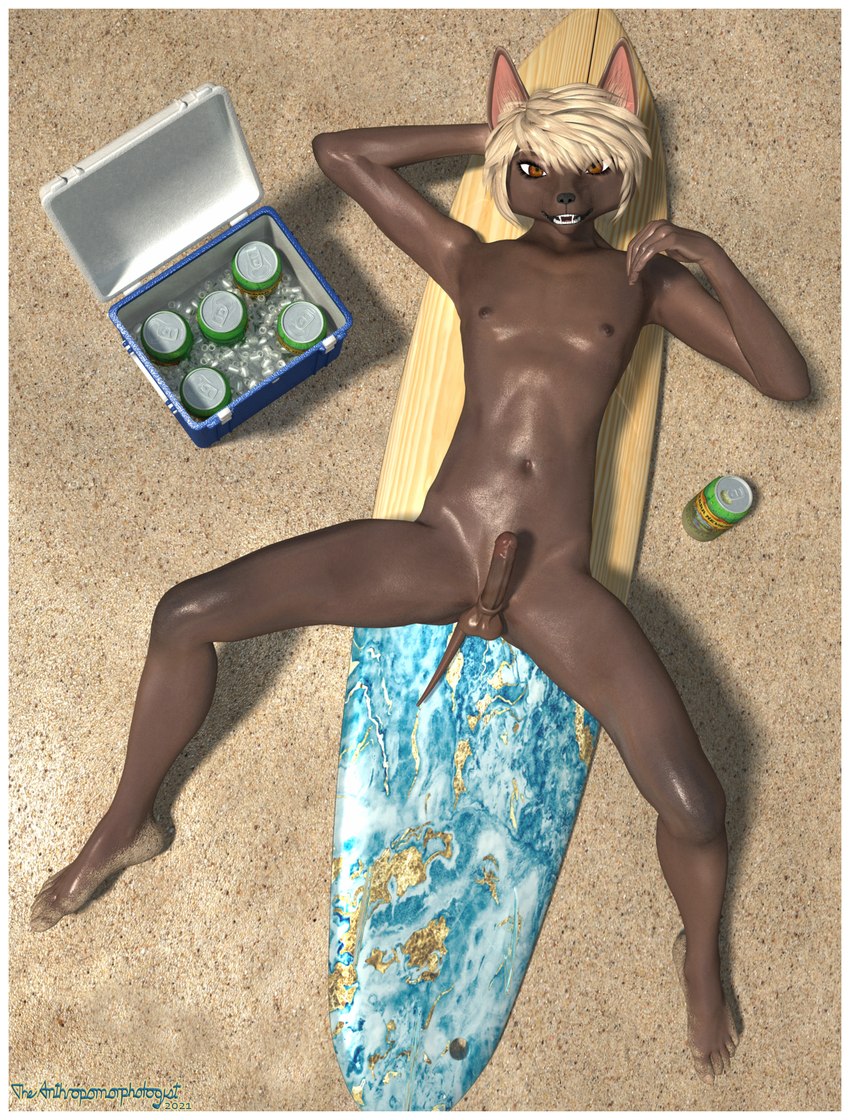 anthro beach blonde_hair border canned_drink cooler dark_body fangs femboy genitals glistening glistening_body hair hairless hairless_tail humanoid_genitalia humanoid_penis hybrid_genitalia hybrid_penis ice lying male navel nipples nude nude_beach on_back orange_eyes outside penis plantigrade sand seaside slim solo spread_legs spreading surfboard teeth text white_border the_anthropomorphologist peru_(the_anthropomorphologist) canid canine canis domestic_dog hairless_dog mammal 3d_(artwork) digital_media_(artwork) english_text hi_res watermark