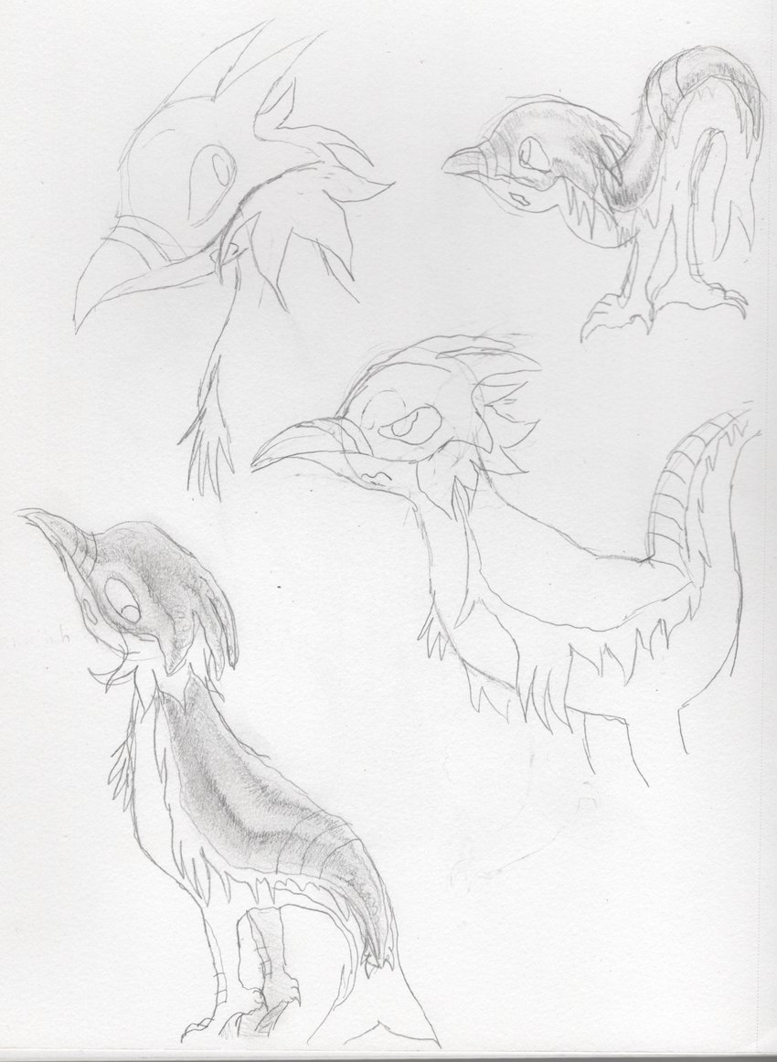 ambiguous_gender angry armless armor beak feral feral_with_hair frown glare hair looking_at_viewer looking_back looking_back_at_viewer mane open_mouth raised_tail rear_view side_view solo standing tail teochronico accipitrid accipitriform avian bird cetacean chimera hybrid mammal marine 2024 absurd_res graphite_(artwork) hi_res traditional_media_(artwork)