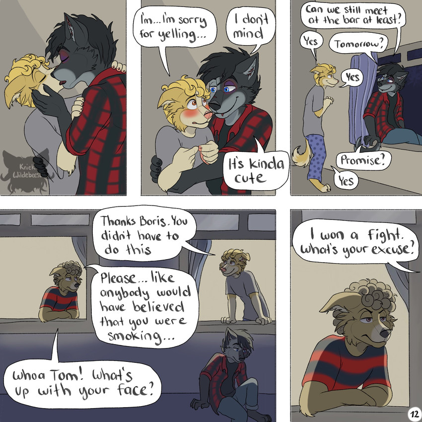 annoyed anthro apology at_window barefoot black_hair blonde_hair blood blood_on_face blue_eyes blush bodily_fluids bottomwear brown_eyes bruised bruised_eye clothed clothing dialogue eye_contact eyes_closed feet flannel_shirt fur grey_body grey_fur group hair hand_on_arm hand_on_face hand_on_neck hug index_to_index jumping kissing logo looking_at_another male male/male nervous night page_number pajamas pants pattern_clothing pattern_shirt pattern_topwear scruffy shirt smile standing striped_clothing striped_shirt striped_topwear stripes tail text topwear trio wounded yellow_body yellow_fur kriek_wildebeest boris_(kriek_wildebeest) jeremy_(kriek_wildebeest) tom_(kriek_wildebeest) border_collie canid canine canis collie domestic_dog herding_dog husky hybrid mammal nordic_sled_dog pastoral_dog sheepdog spitz wolf 1:1 artist_logo comic english_text hi_res multiple_scenes brother_(lore) brothers_(lore) sibling_(lore)