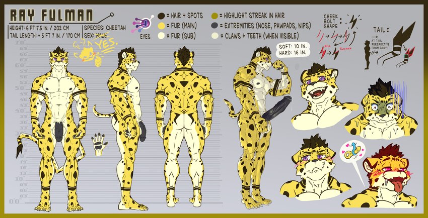 anthro erection male muscular muscular_male nude solo text ray_fulman rayject ray_(rayject) cheetah felid feline mammal absurd_res english_text hi_res model_sheet