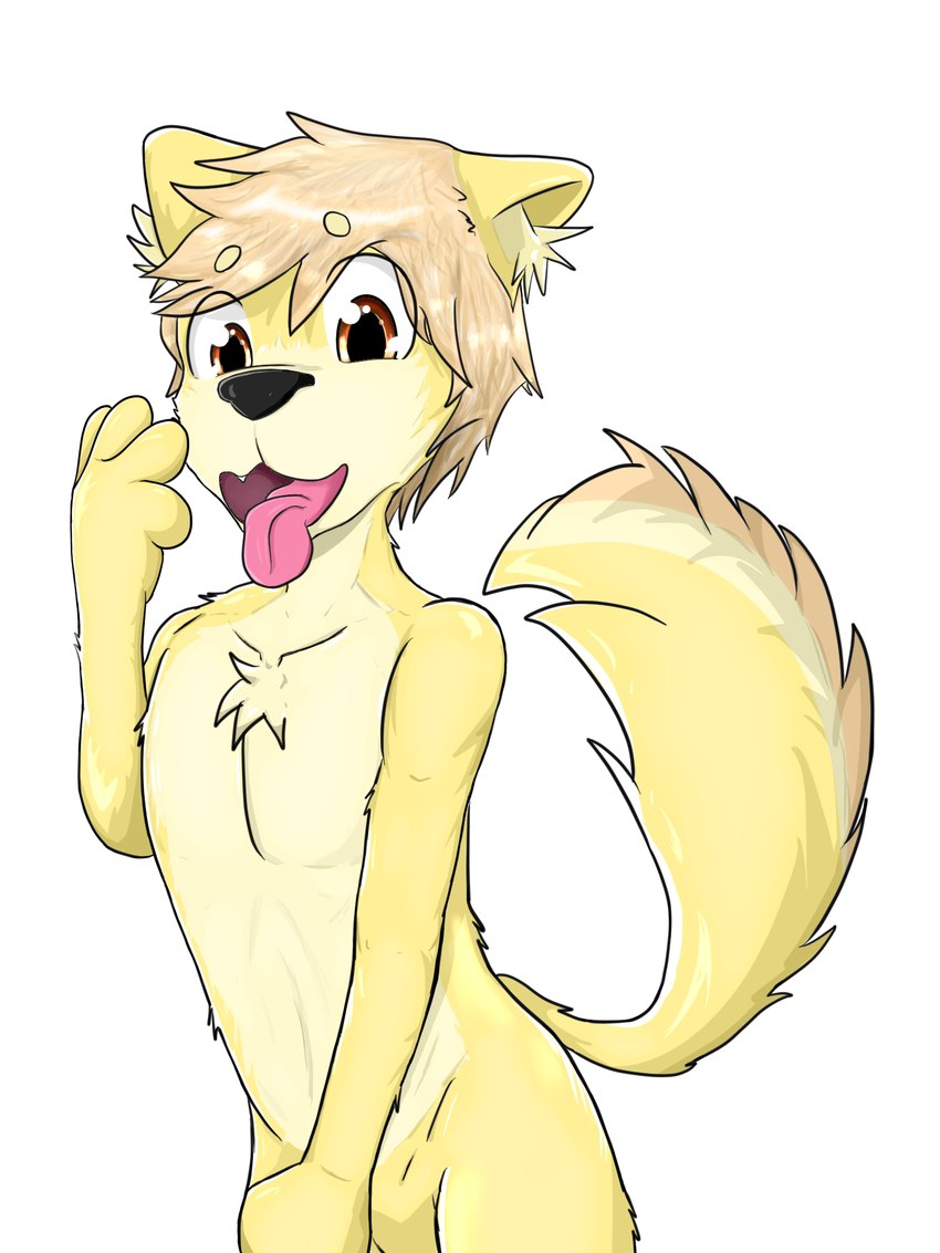 anthro brown_eyes fur hair male simple_background solo yellow_body yellow_fur thejameater canid canine mammal 3:4 digital_drawing_(artwork) digital_media_(artwork) hi_res