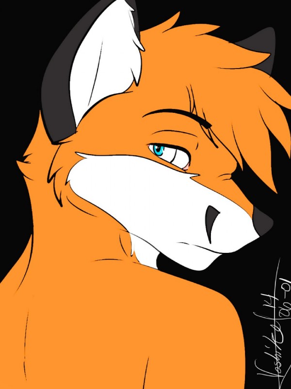 anthro black_background black_body black_fur black_nose blue_eyes fur hair looking_at_viewer looking_back male nude orange_body orange_fur orange_hair short_hair simple_background solo white_body white_fur voshiket canid canine fox mammal 3:4 bust_portrait hi_res portrait