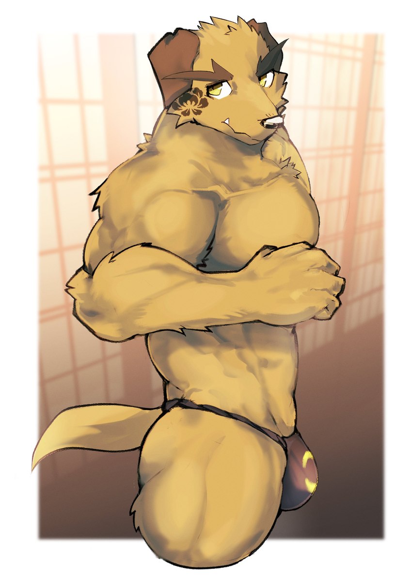 anthro asian_clothing black_nose clothed clothing east_asian_clothing fundoshi fundoshi_only fur japanese_clothing looking_at_viewer male muscular muscular_anthro muscular_male solo standing topless underwear underwear_only yellow_body yellow_fur asleepchef lifewonders tokyo_afterschool_summoners nobumichi_(tas) canid canine canis domestic_dog mammal 2024 absurd_res hi_res portrait three-quarter_portrait