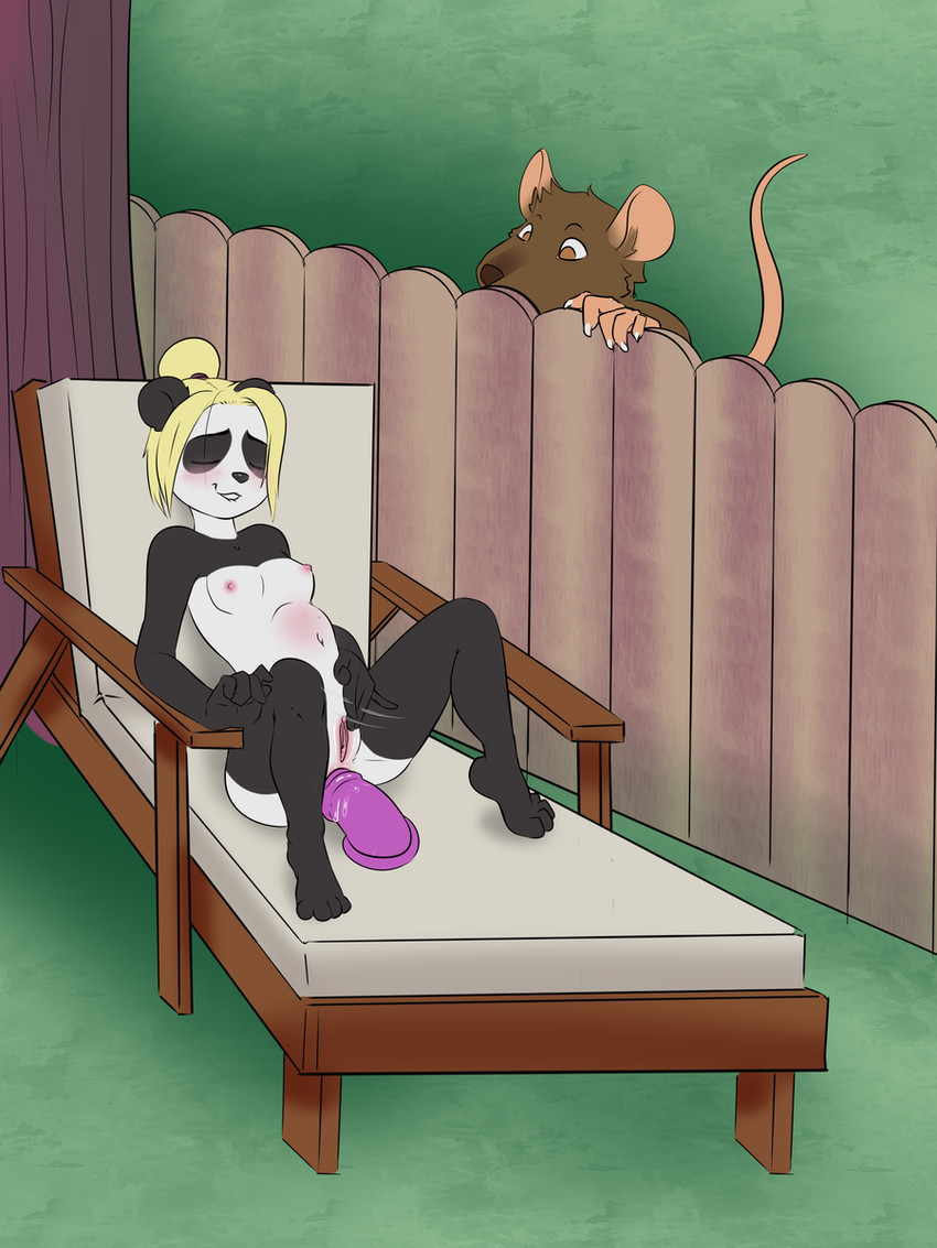 4_toes abdominal_bulge adolescent adult_on_adolescent age_difference anal anal_masturbation anal_penetration animal_dildo animal_sex_toy anthro anus areola being_watched bite biting_lip biting_own_lip bodily_fluids breasts chair clitoral clitoral_masturbation clitoral_rubbing dildo dildo_in_ass dildo_insertion duo equine_dildo eyes_closed feet female fence fingers fur furniture genital_fluids genitals hair loli looking_at_another looking_pleasured lying male male/female masturbation mature_anthro mature_male navel nipples nude object_in_ass older_male on_back outdoor_nudity outside outside_masturbation penetration plant ponytail self_bite sex_toy sex_toy_in_ass sex_toy_insertion small_breasts tail toes toying_self vaginal vaginal_masturbation vulva young young_anthro young_female younger_female xever_(artist) jalka bear giant_panda mammal murid murine rat rodent 3:4 digital_drawing_(artwork) digital_media_(artwork) hi_res