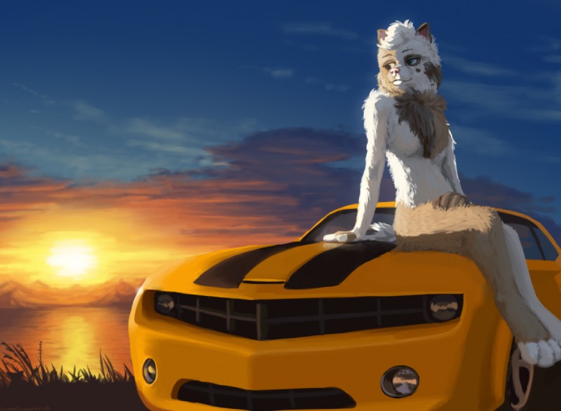 anthro biped brown_body brown_fur car chest_tuft female fluffy fur grey_body grey_fur heterochromia lake multicolored_body multicolored_fur nude outside sitting solo sunset tuft vehicle white_body white_fur lemurlemurovich chevrolet_camaro canid canine canis domestic_dog mammal pomeranian spitz digital_media_(artwork)