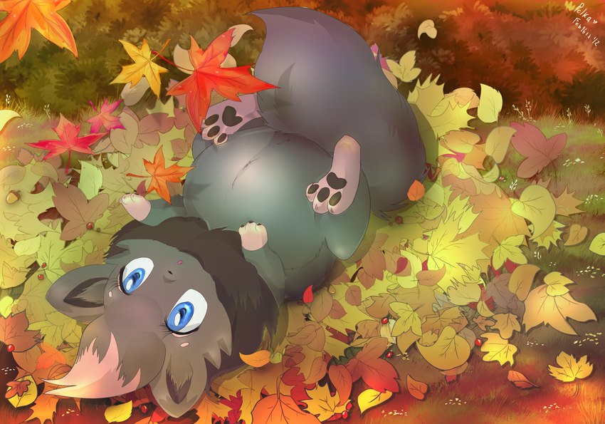 3_toes autumn belly big_belly black_body black_claws black_fur black_nose black_pawpads blue_eyes claws falling_leaves feet female female_feral feral fur grass grey_body grey_fur grey_tail leaf leaf_pile looking_up lying multicolored_body multicolored_fur on_back orange_leaves outside pawpads paws plant pregnant pregnant_female pregnant_feral quadruped red_leaves red_mouth small_nose solo tail toe_claws toes yellow_leaves black_kitty nintendo pokemon fan_character shakora_(cybereonzeta) generation_5_pokemon pokemon_(species) zorua 2012 colored digital_drawing_(artwork) digital_media_(artwork) english_description shaded