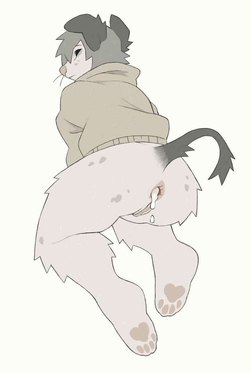 4_toes andromorph anthro anus black_eyes bodily_fluids bottomless butt butt_tuft button_ears clothed clothing cum cum_from_ass cum_in_ass cum_inside feet floppy_ears fur genital_fluids genitals grey_ears grey_hair grey_spots grey_tail hair hindpaw hoodie hoodie_only intersex knee_tuft leg_tuft markings pawpads paws pink_anus pink_nose pink_pawpads pink_pussy pussy rear_view simple_background solo spots spotted_body spotted_butt spotted_fur tail tail_tuft tan_clothing tan_hoodie tan_topwear toes topwear topwear_only tuft whiskers white_background yakpup pup_(micerunt) canid canine canis domestic_dog mammal 2024 absurd_res digital_drawing_(artwork) digital_media_(artwork) full-length_portrait hi_res portrait trans_(lore) trans_man_(lore)