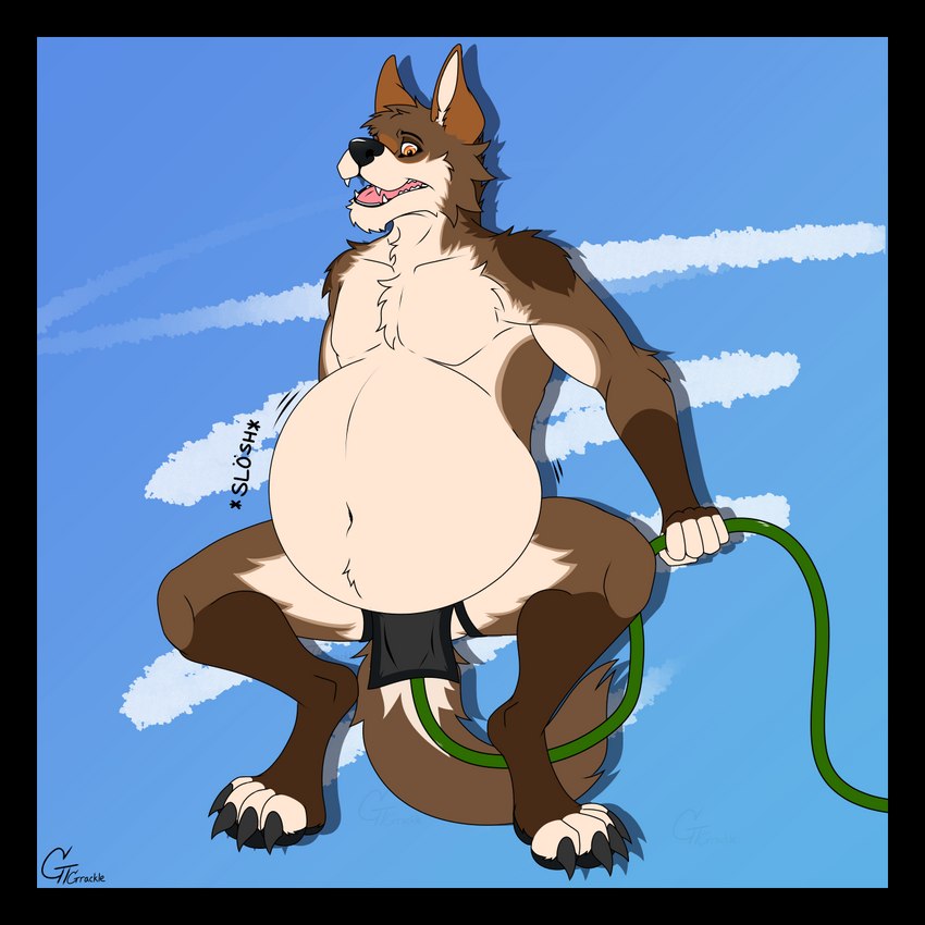 4_fingers 5_fingers anthro belly belly_expansion belly_inflation black_border black_nose bloated blue_background bodily_noises border brown_body brown_fur claws clothing cream_belly crouching enema expansion fangs fingers fur holding_hose hose hose_in_butt hose_inflation inflation liquid_inflation looking_at_belly looking_down looking_down_at_self male motion_lines navel onomatopoeia open_mouth orange_eyes pink_tongue simple_background slosh sloshing_belly solo sound_effects teeth text tongue underwear water_inflation gt_grackle fig_(gt_grackle) canid canine canis coyote mammal 1:1 2022 hi_res signature