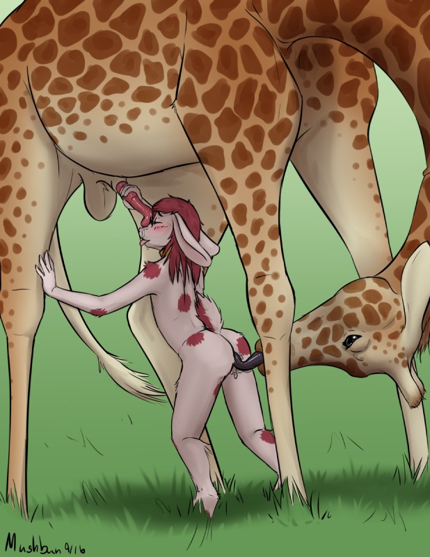 anatomically_correct anatomically_correct_genitalia anatomically_correct_penis animal_genitalia animal_penis anthro anthro_on_feral balls bestiality blush bodily_fluids butt cunnilingus duo erection female female_on_feral feral fur genital_fluids genitals giraffe_genitalia giraffe_penis hair handjob interspecies looking_back male male/female male_on_anthro nude oral penile penis penis_grab precum red_hair sex sheath size_difference tail tongue tongue_out vaginal mushbun mushbun_(character) giraffe giraffid lagomorph leporid mammal rabbit digital_media_(artwork) hi_res