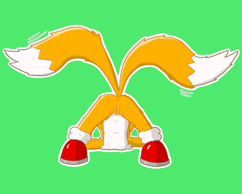 2_tails andromorph anthro anus ass_up butt genitals humanoid_genitalia humanoid_pussy intersex jack-o'_pose multi_nipple multi_tail nipples pose presenting presenting_anus presenting_hindquarters presenting_pussy pussy raised_tail solo tail young young_anthro nedrik sega sonic_the_hedgehog_(series) miles_prower canid canine fox mammal 5:4 hi_res