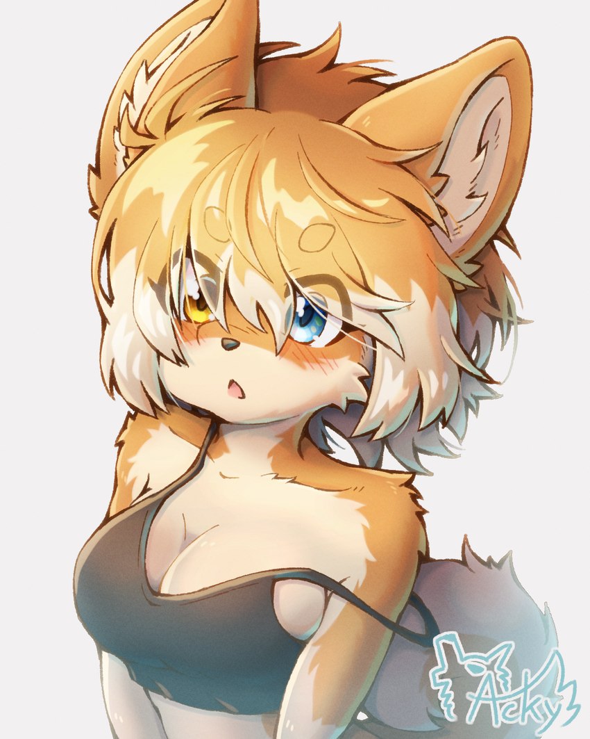 amber_eyes anthro blue_eyes blush breasts circle_eyebrows cleavage clothed clothing eye_through_hair eyebrow_through_hair eyebrows female fur hair hair_over_eyes heterochromia kemono off_shoulder open_mouth orange_body orange_fur orange_hair side_boob simple_background solo translucent translucent_hair white_background acky05 fuwari_(acky05) canid canine canis domestic_dog mammal shiba_inu spitz 4:5 half-length_portrait hi_res portrait signature