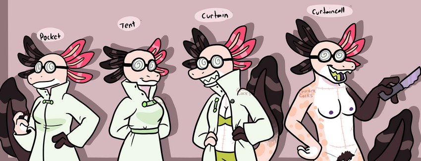 anthro breasts clothing coat eyewear female fully_clothed_to_nude glasses knife lab_coat non-mammal_breasts pose presenting pubes scientist solo surgical_suture topwear underwear visibly_trans chimeracocks curtain_call_challenge the_doctor_(chimeracocks) amphibian axolotl firefly_axolotl hybrid marine mole_salamander olm salamander hi_res trans_(lore) trans_man_(lore)