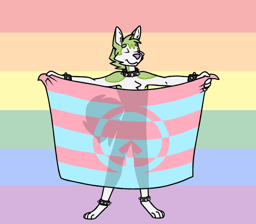 4_toes 5_fingers andromorph_pride_colors anklet anthro biped bracelet cheek_tuft chest_tuft collar digitigrade eyes_closed facial_tuft feet fingers flag flag_(object) fur green_body green_fur holding_flag holding_object inner_ear_fluff jewelry legband lgbt_pride male mostly_nude multicolored_body multicolored_fur pose pride_color_background pride_color_flag pride_colors rainbow_background rainbow_pride_colors rainbow_symbol silhouette simple_background six-stripe_rainbow_pride_colors smile solo spiked_anklet spiked_bracelet spiked_collar spiked_legband spikes standing symbol toes tuft two_tone_body two_tone_fur white_body white_fur sillydraco byte_fantail_(character) canid canine canis domestic_dog husky mammal nordic_sled_dog spitz hi_res andromorph_(lore)