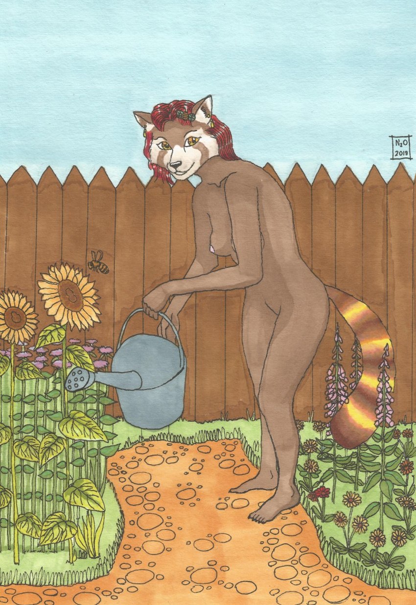 accessory anthro areola backyard breasts casual_nudity ear_piercing ear_ring female fence flower garden gardening hair hair_accessory hairclip looking_at_viewer nipples nude outside piercing pink_areola pink_nipples plant red_hair ring_piercing skinny_anthro skinny_female small_areola small_breasts smile solo standing watering watering_can n2o ailurid ambient_arthropod ambient_bee ambient_insect arthropod bee hymenopteran insect mammal red_panda 2019 hi_res