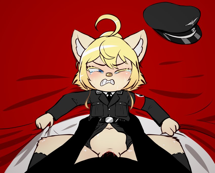 ahoge anthro blood blood_on_penis bodily_fluids bottomless bottomless_anthro bottomless_female clenched_teeth clitoris clothed clothing defloration duo female genitals grabbing_sheets hair large_penetration loli male male/female nazi nazi_uniform pain penetration penis pussy questionable_consent sex spreading swastika tears teeth vaginal vaginal_penetration young young_anthro young_female e254e youjo_senki tanya_degurechaff domestic_cat felid feline felis mammal absurd_res hi_res