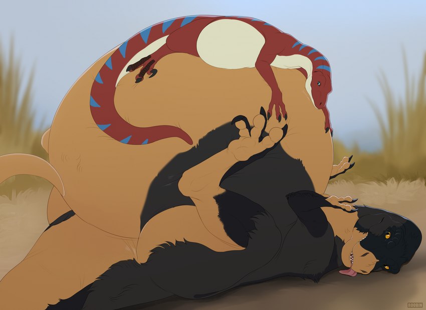 ambiguous_gender ambiguous_pred belly big_belly black_body black_fur blue_eyes duo feral fur grey_body grey_fur huge_belly lying on_back on_top orange_body orange_eyes orange_fur pupils red_body side_view size_difference slit_pupils text tongue tongue_out vore white_body roobin dinosaur dromaeosaurid prehistoric_species reptile scalie theropod artist_name hi_res