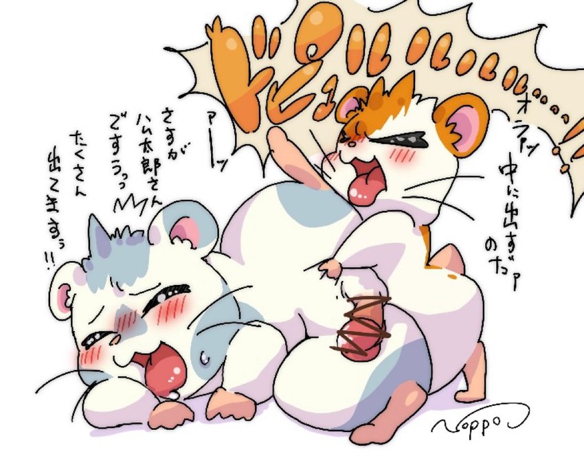 anal anthro balls belly blush duo erection genitals looking_pleasured male male/male male_penetrating overweight penetration penis sex text tongue tongue_out noppokun1105 hamtaro_(series) hamtaro oxnard_(hamtaro) cricetid hamster mammal rodent japanese_text