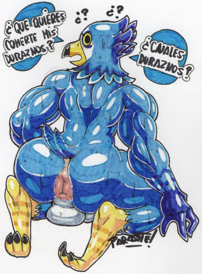 abs anthro anus athletic_wear back_muscles backsack balls beak biceps big_butt black_beak blue_body blue_feathers blush bottomwear bottomwear_down butt clothed clothing dialogue eyebrows feather_hands feathers genitals hand_behind_head hand_on_leg hand_on_thigh heart_symbol looking_at_viewer looking_back looking_back_at_viewer male multicolored_body multicolored_feathers muscular muscular_anthro muscular_male non-mammal_balls open_beak open_mouth pecs raised_tail rear_view solo speech_bubble tail tail_feathers talking_to_viewer text thick_thighs yellow_beak yellow_sclera parasitedeath animal_crossing nintendo pierce_(animal_crossing) accipitrid accipitriform avian bird eagle falcon falconid 2021 english_text hi_res marker_(artwork) portrait signature spanish_text traditional_media_(artwork) translated