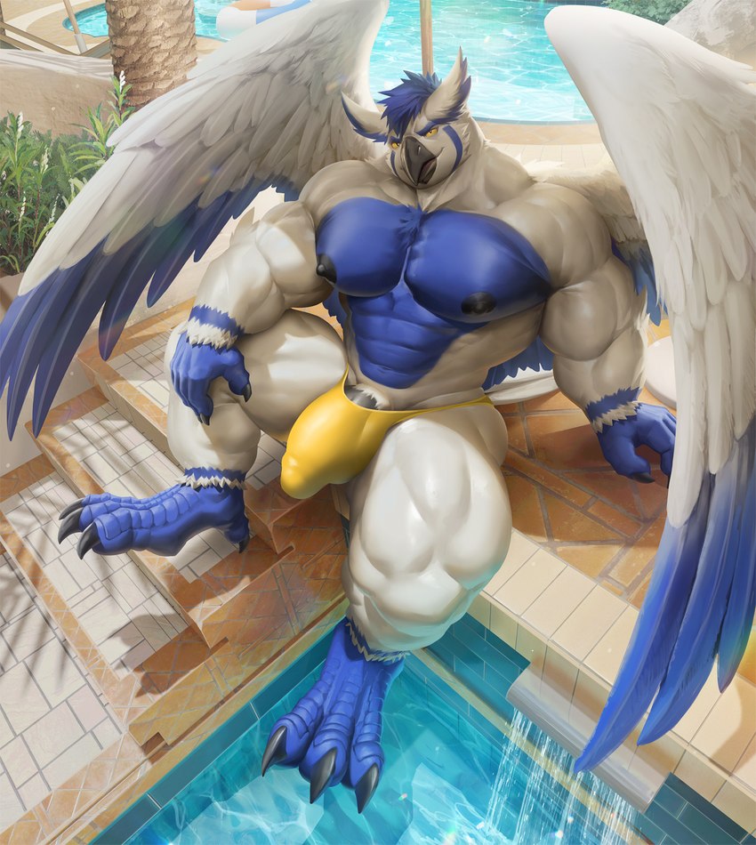 abs anthro balls biceps blue_body blue_feathers blue_hair blue_talons bulge claws clothing day feathers feet finger_claws genitals hair male muscular muscular_thighs nipples obliques outside palm_tree pecs penis penis_base plant quads solo speedo steps swimming_pool swimwear talons toe_claws toes tree water white_body white_feathers wings yellow_sclera takahirosi sova avian bird owl 2021 hi_res