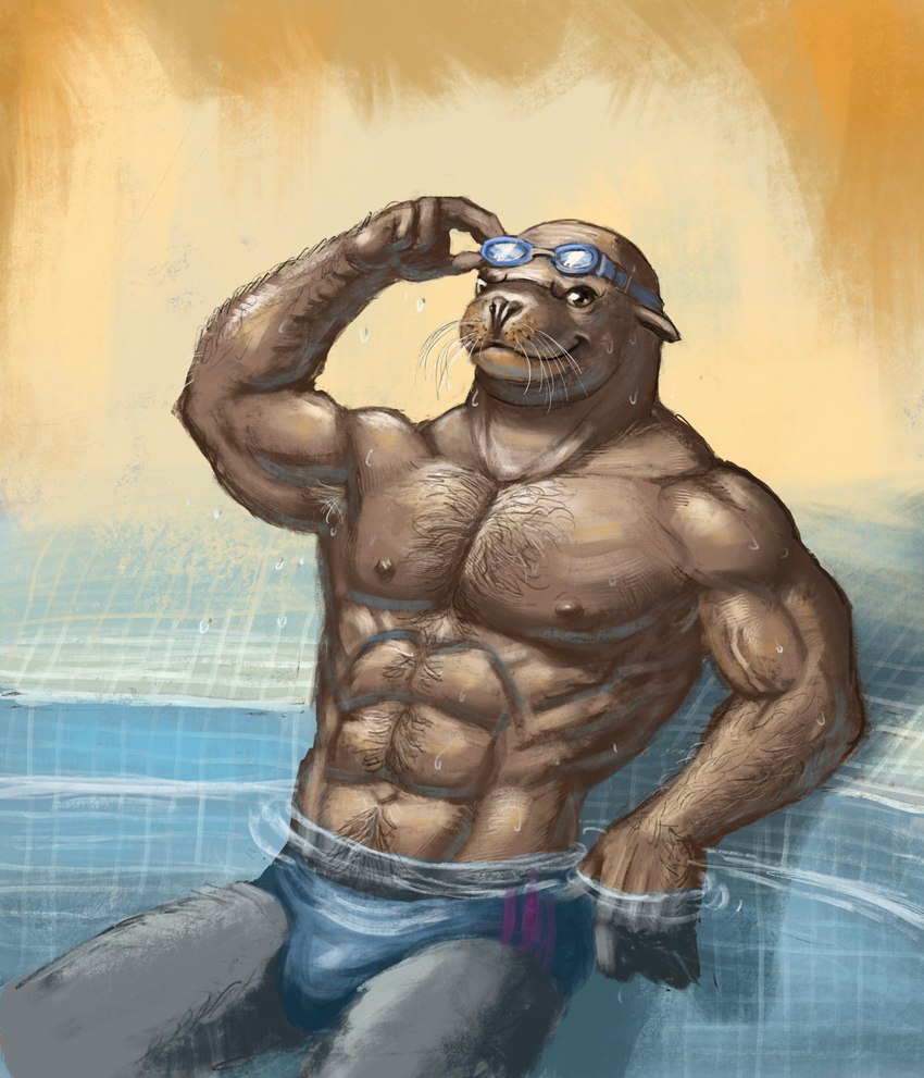 abs anthro arm_hair body_hair chest_hair clothed clothing eyewear goggles happy_trail looking_at_viewer male muscular muscular_male nipples smile solo speedo speedo_only swimming_goggles swimming_pool swimwear topless vein veiny_muscles rrougarou1 animal_humanoid humanoid mammal marine marine_humanoid pinniped pinniped_humanoid sea_lion sea_lion_humanoid hi_res