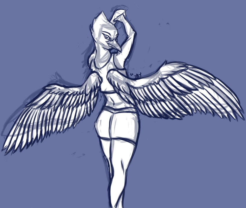 ambiguous_gender anthro beak bottomwear clothing feathered_wings feathers female looking_at_viewer shorts simple_background solo spread_wings wings firstletterj avian bird blue_and_white digital_drawing_(artwork) digital_media_(artwork) monochrome signature sketch